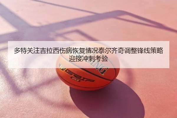 多特关注吉拉西伤病恢复情况泰尔齐奇调整锋线策略迎接冲刺考验